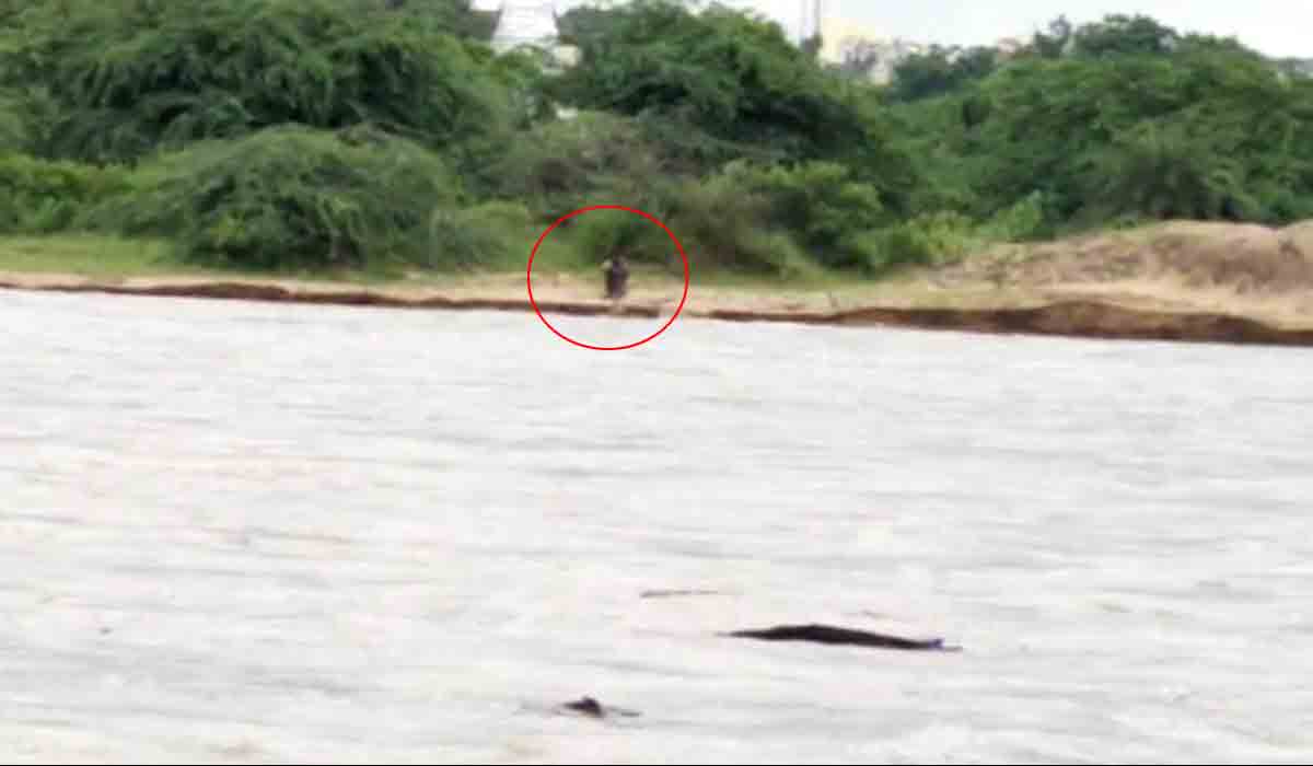 మానేరు వాగులో చిక్కుకున్న గొర్రెల‌ కాపరి