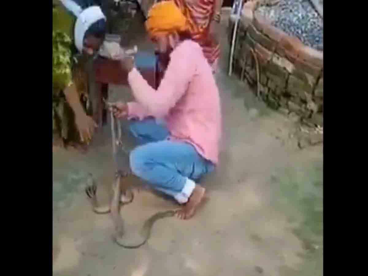 Viral Video: పాములకు రాఖీ కట్టబోయి.. కాటేయడంతో వ్యక్తి మృతి