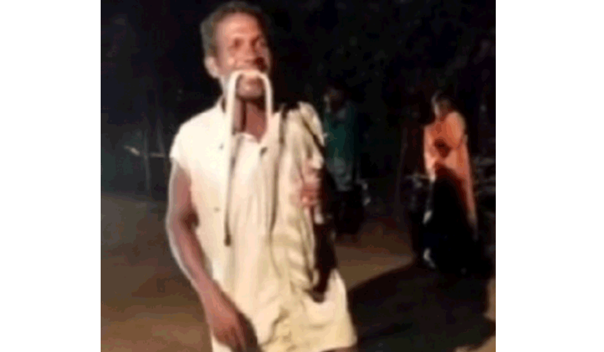 Snake Bite | న‌న్నే కాటేస్తావా.. విష‌స‌ర్పాన్ని కొరికి చంపిన వ్య‌క్తి