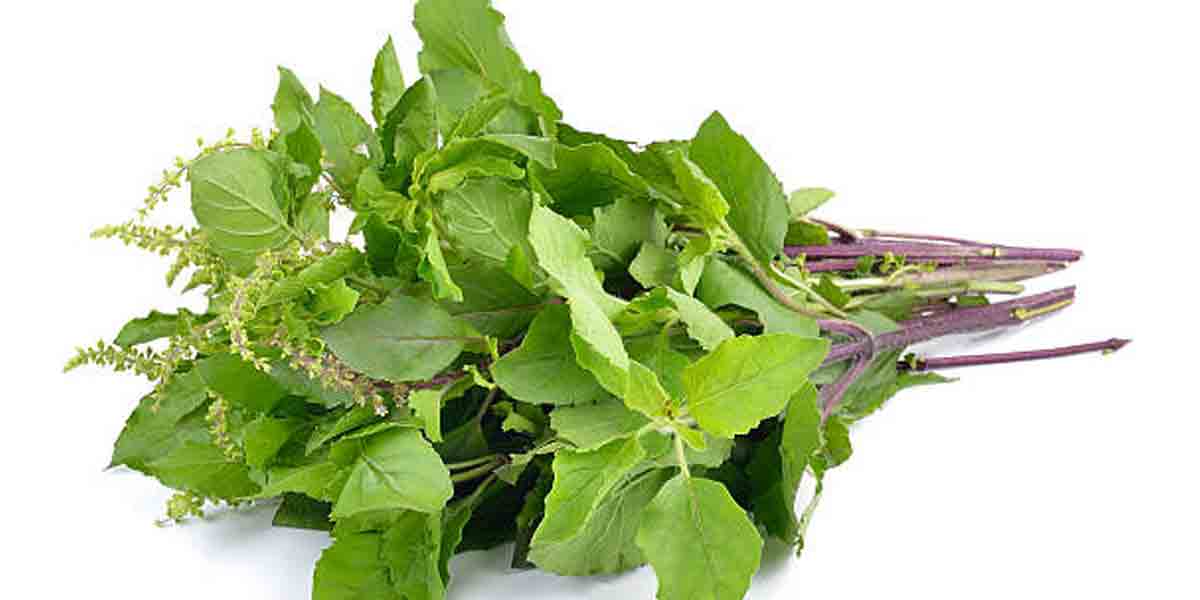 గొంతు నొప్పితో బాధపడుతున్నారా.. ఇలా చేయండి