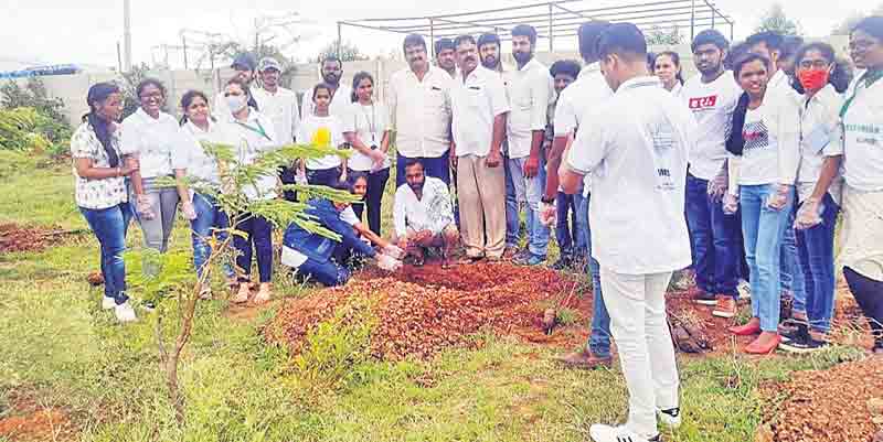 సర్పంచులు మొక్కలను సంరక్షించాలి
