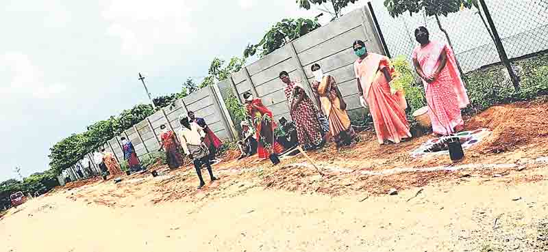 లింగంపల్లికి హరిత శోభ