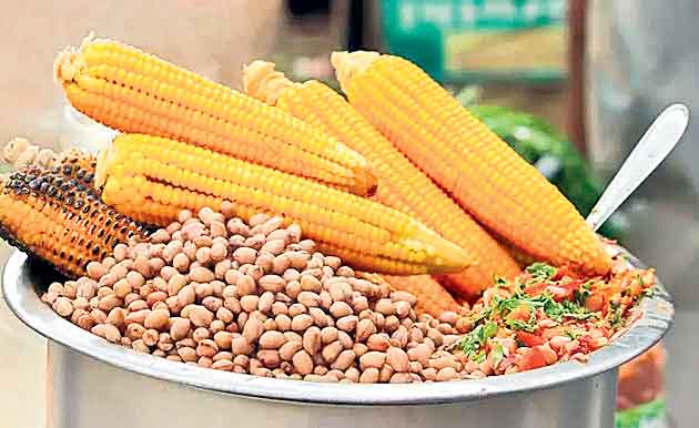 కూరగాయలే గొడుగు