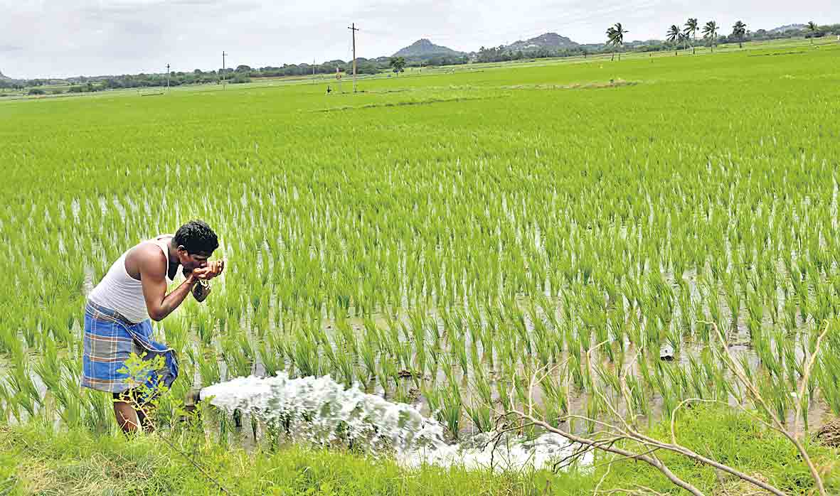 తేలుతున్న తెలంగాణ