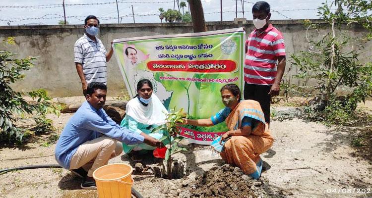 నాటిన ప్రతి మొక్కనూ బతికించాలి