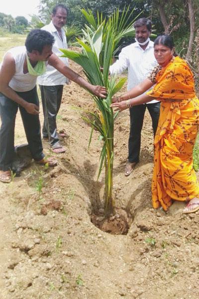మొక్కలు నాటి పర్యావరణాన్ని కాపాడుకోవాలి