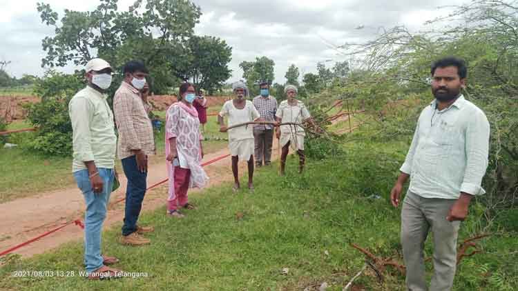 మెగా పార్కులను అందంగా తీర్చిదిద్దాలి