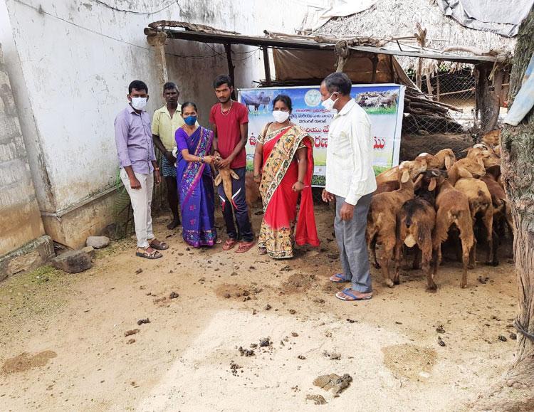 నట్టల నివారణ మందు పంపిణీ ప్రారంభం