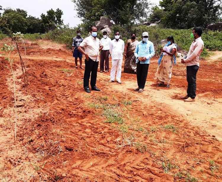 మెగా పార్కు పనుల్లో వేగం పెంచాలి