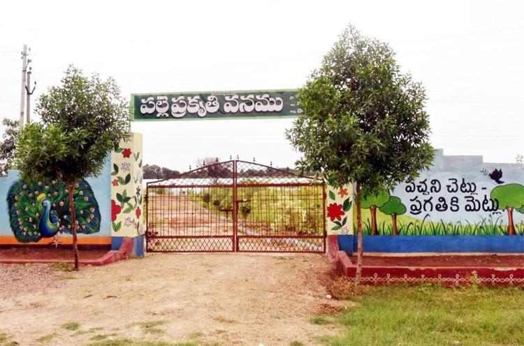 గ్రామాభివృద్ధిపై ఎమ్మెల్యే పెద్ది సుదర్శన్‌రెడ్డి ప్రత్యేక దృష్టి