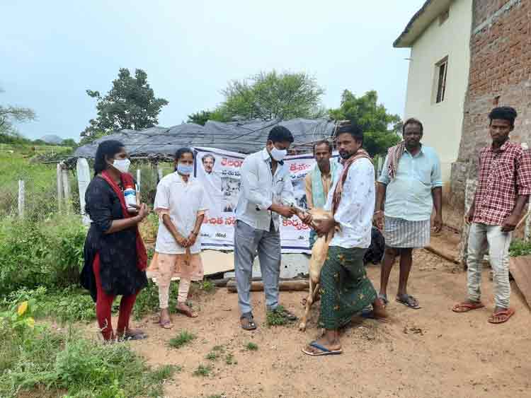 జీవాలకు నట్టల నివారణ మందు వేయించాలి