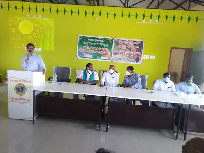 సిరులు కురిపించే పంట ఆయిల్‌పామ్‌