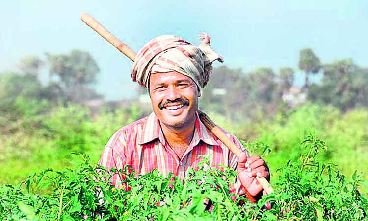 రుణమాఫీ ‘సంబురం’