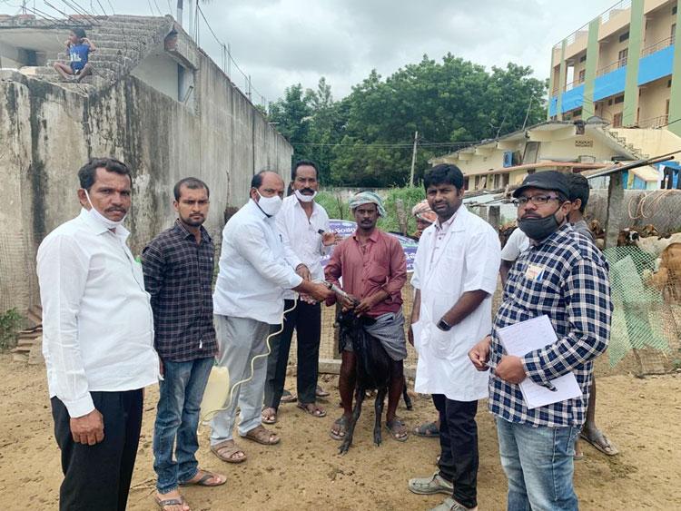 గొల్ల, కురుమల ఆర్థికాభివృద్ధికి సర్కారు కృషి