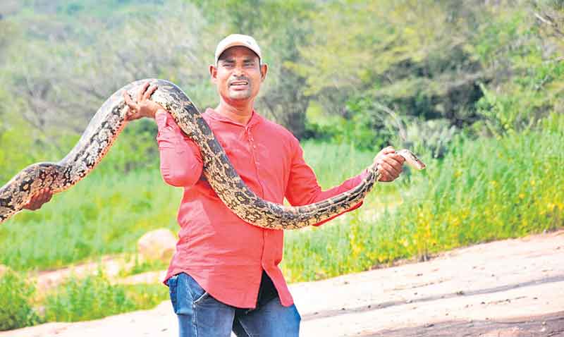 జంతు సం‘రక్షకుడు’