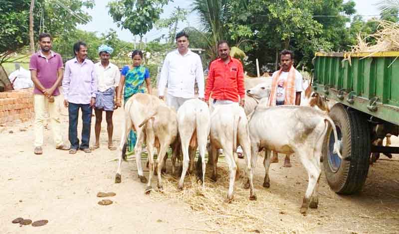పశుపోషణతో రైతులకు బహుళ ప్రయోజనాలు