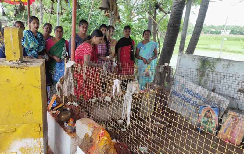 భక్తిశ్రద్ధలతో నాగుల పంచమి వేడుకలు