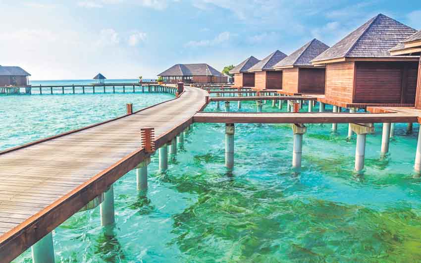 ఆగస్ట్‌ 12ను ఏ రోజుగా నిర్వహిస్తారు?