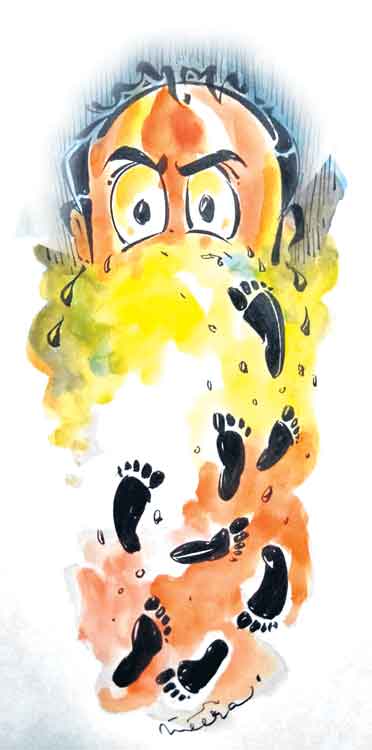 నిజం దాగదు