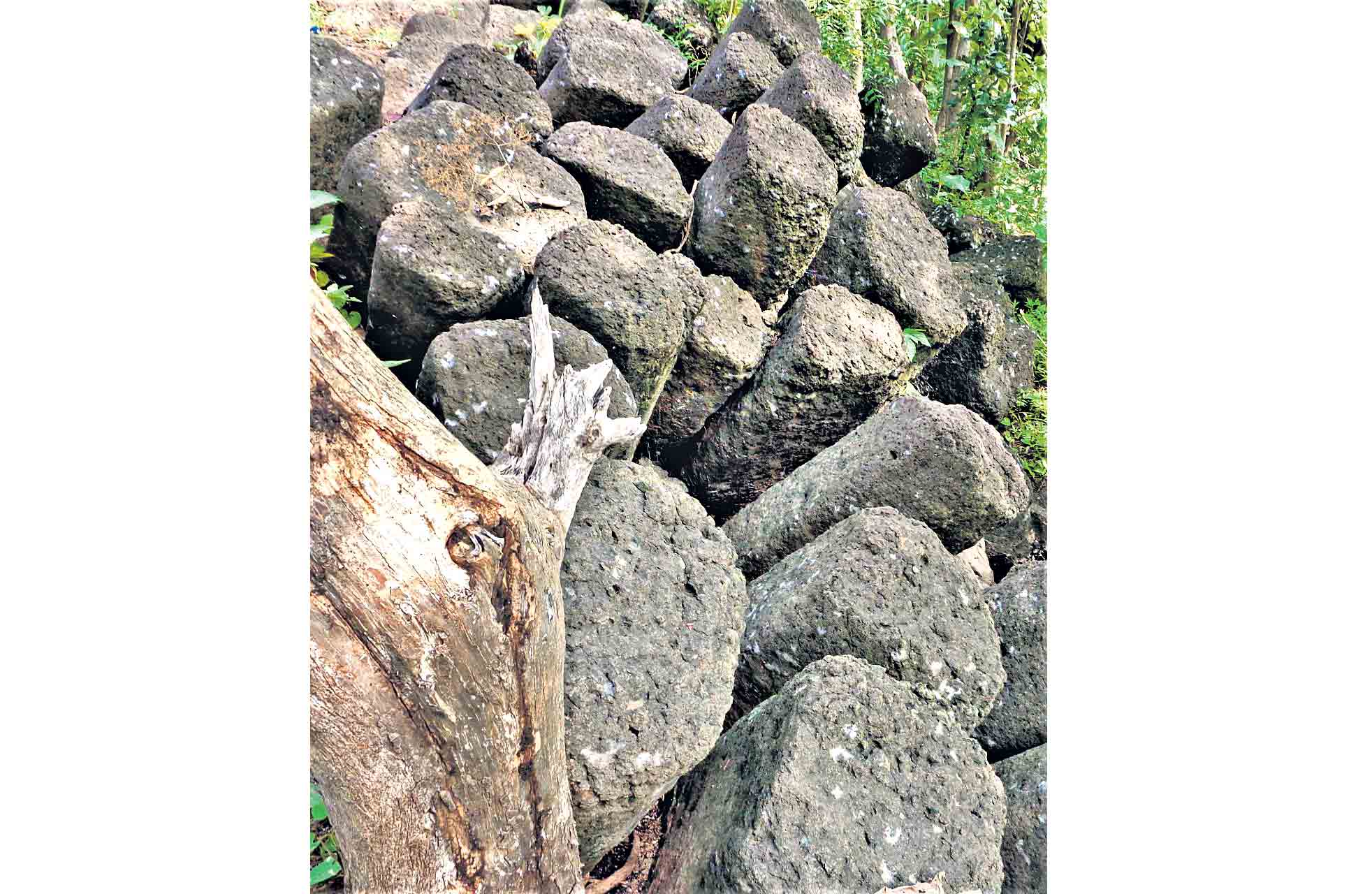 బజార్‌ హత్నూర్‌లో బసాల్ట్‌ స్తంభాలు