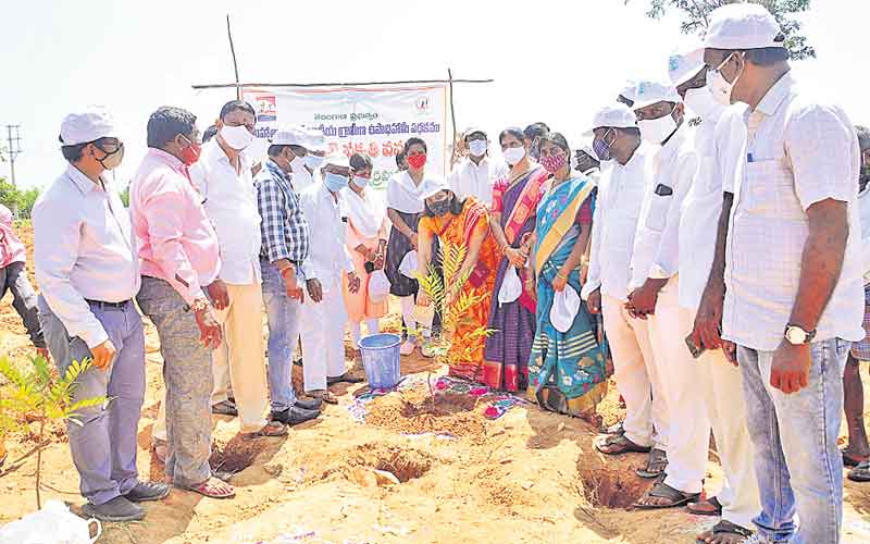 బృహత్‌ పల్లె ప్రకృతివనం అభివృద్ధికి చర్యలు చేపట్టాలి