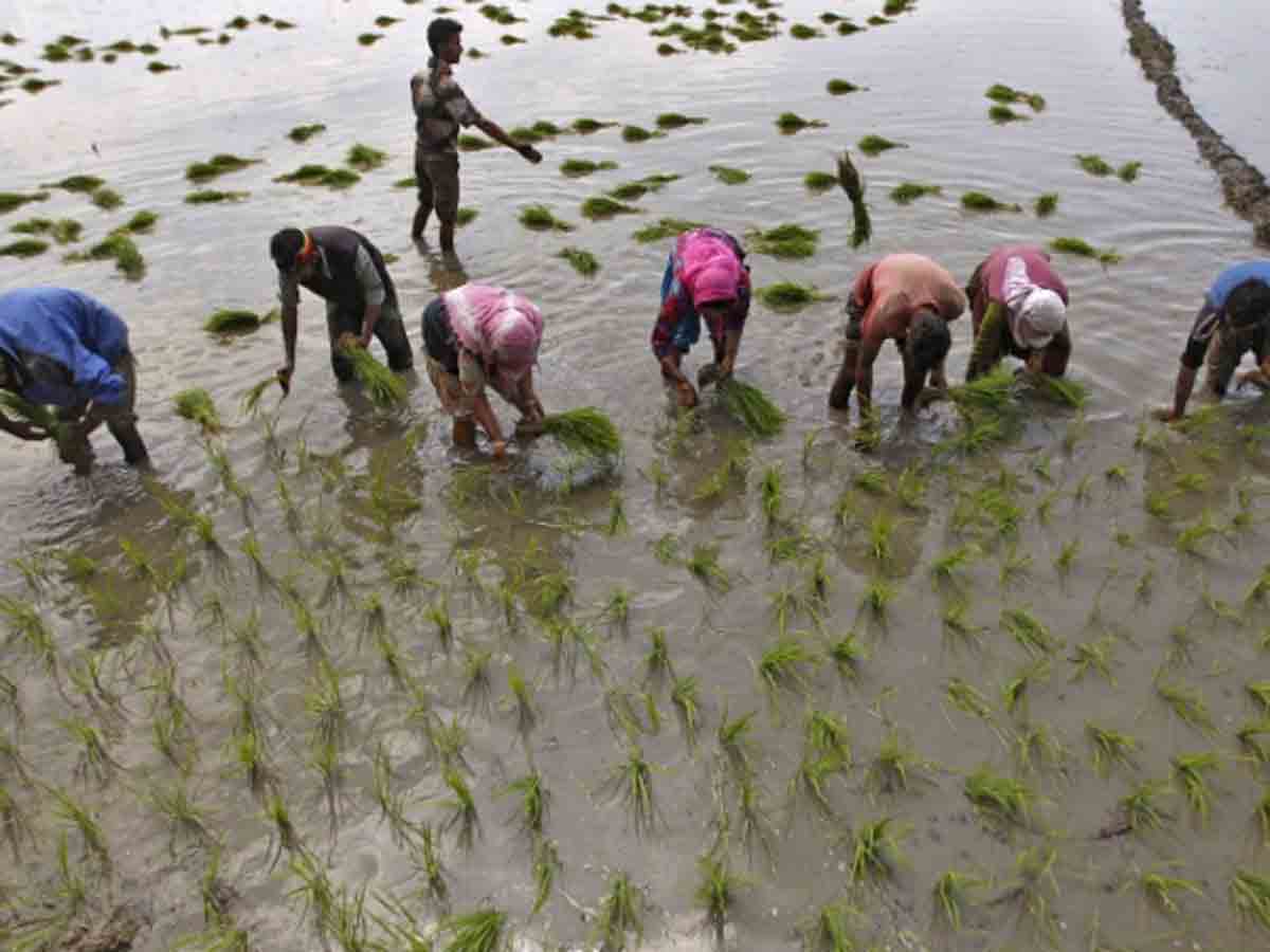 తమిళనాడులో తొలిసారి ప్రత్యేక వ్యవసాయ బడ్జెట్‌