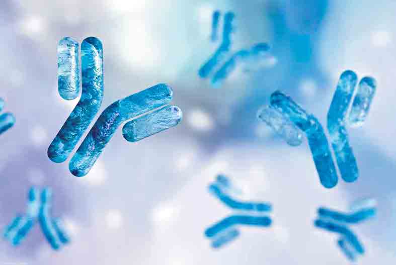 యాంటిబాడీలపై 30 జిల్లాల్లో సర్వే