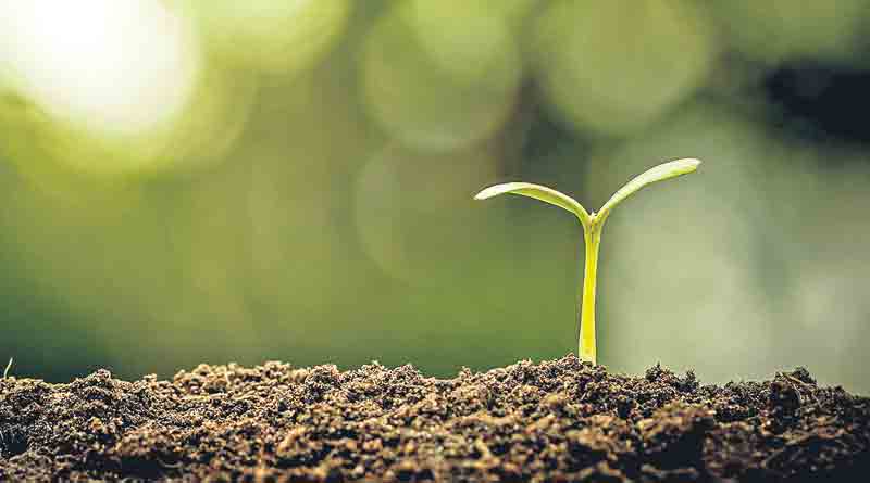 ఔషధాల పనితీరును అధ్యయనం చేసే శాస్త్రం?