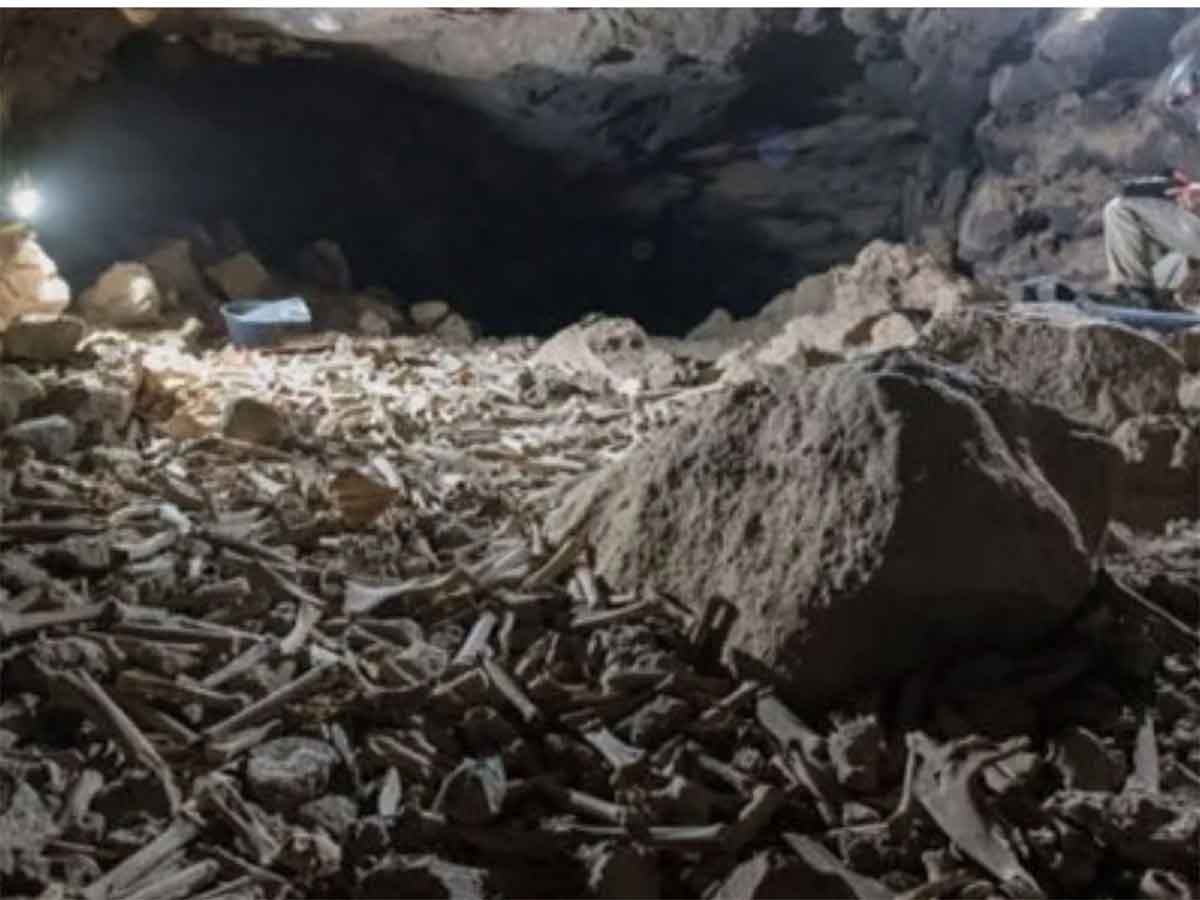 కుప్ప‌లు కుప్ప‌లుగా కిలోమీట‌ర్ల మేర‌ మ‌నుషులు, జంతువుల అవ‌శేషాలు, ఎముక‌లు.. ఎక్క‌డో తెలుసా?