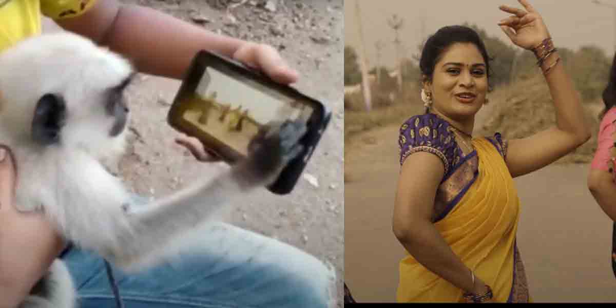 బుల్లెట్టు బండెక్కి వ‌చ్చెత్త‌పా పాట పెడితేనే పాలు తాగుతున్న కొండెంగ‌..!! ఎక్క‌డంటే?