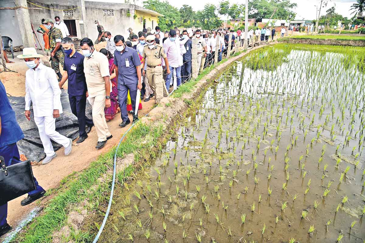 ఊరివాడై వాడవాడలా..