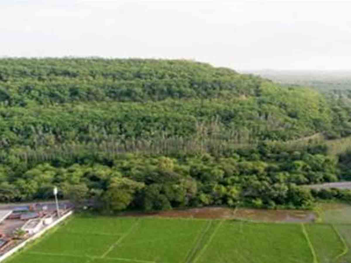 ఈ నెల‌ 19న వృక్షారోపణ్‌ అభియాన్‌-2021 ప్రారంభం