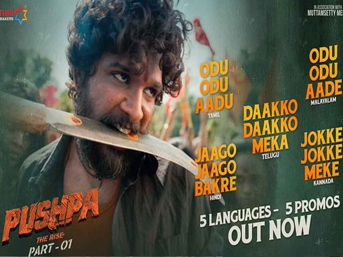 దాక్కో దాక్కో మేక మేక ఫుల్ సాంగ్ రిలీజ్.. త‌గ్గేదే లే అంటున్న బ‌న్నీ