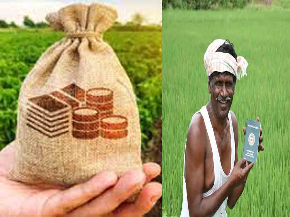 రైతుల రుణమాఫీ పట్ల హర్షం…