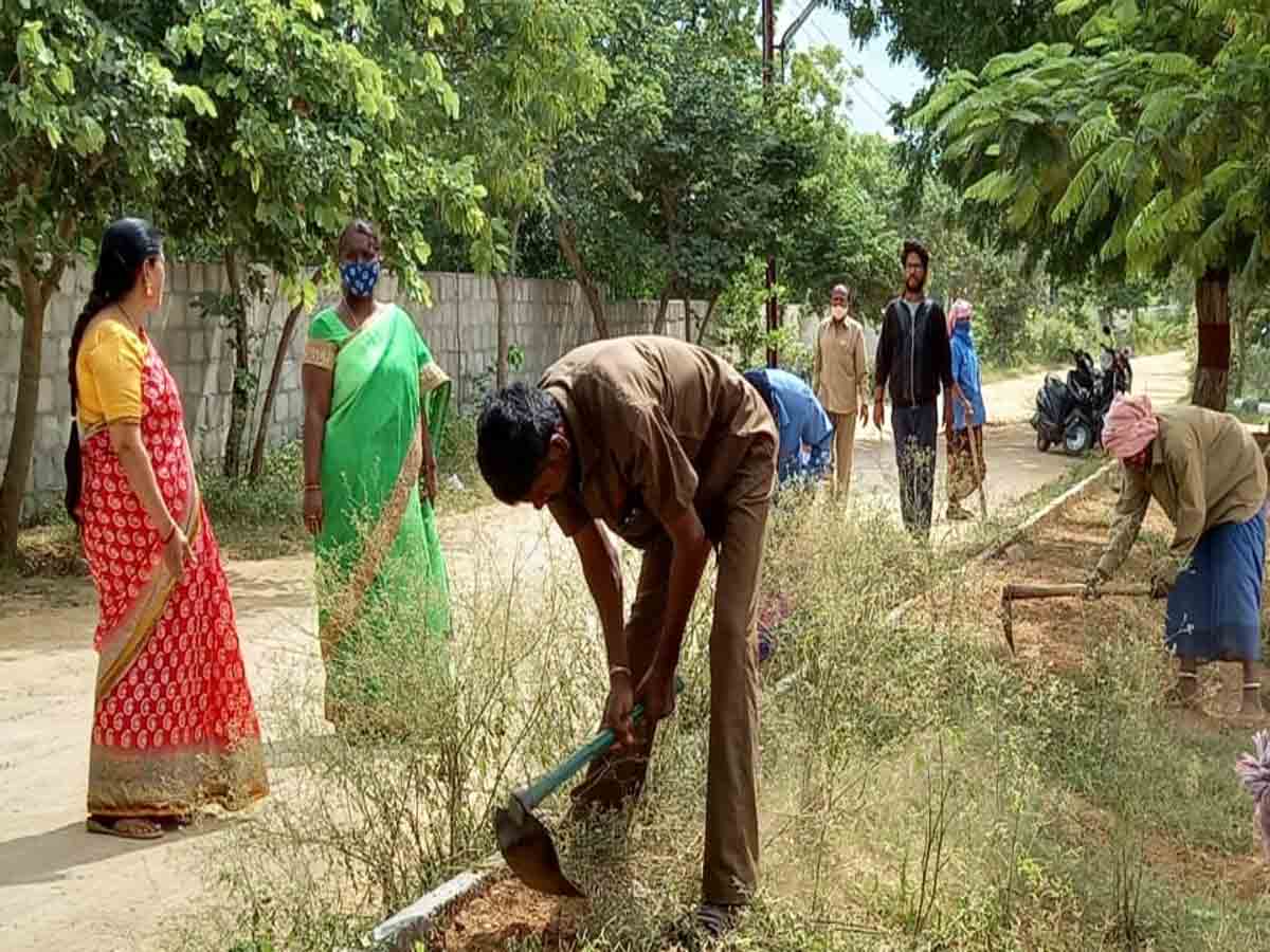 హరితహారంలో నాటిన ప్రతి మొక్కను సంరక్షించుకోవాలి…