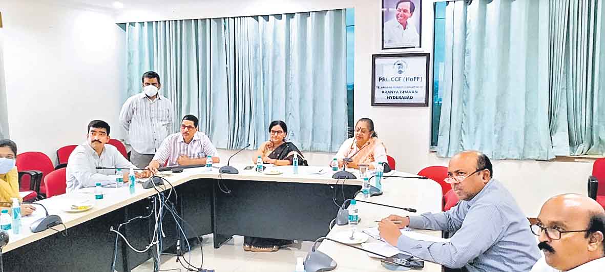 హరితహారం మొక్కల్లో ఎన్ని బతికాయి?