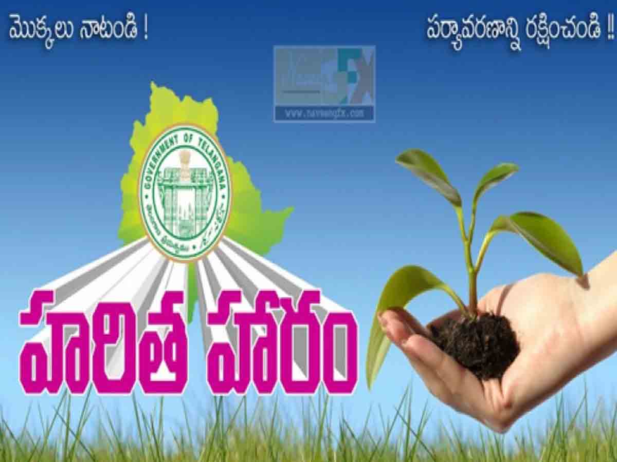 హరితహారం లక్ష్యాన్ని సాధించాలి : ఎంపీడీఓ తిరుమలస్వామి