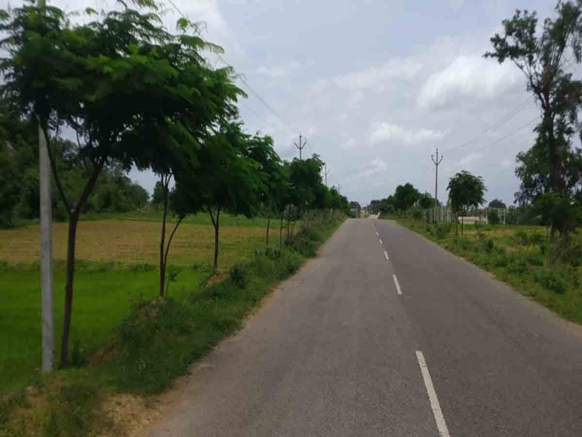 సత్ఫలితాలిస్తున్న”హరితహారం”…