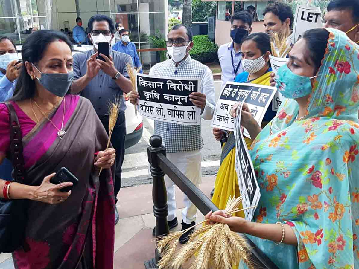 హేమామాలినికి గోధుమ కంకి ఇచ్చిన హ‌ర్‌సిమ్ర‌త్.. ఎందుకో తెలుసా..?