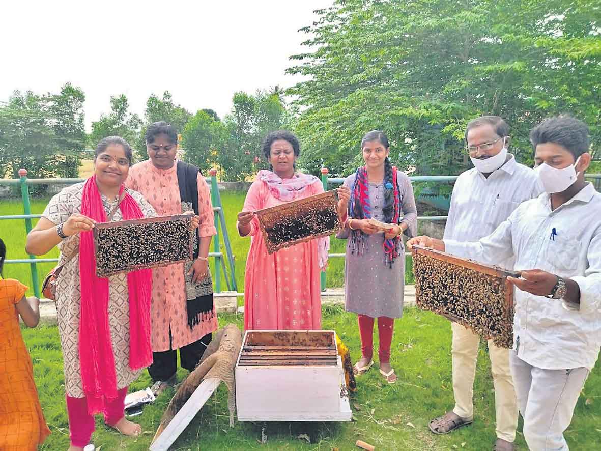 Producing pure Honey for people | శుద్ధమైన తేనె అందించాలనే లక్ష్యంతో.. తీయని వ్యాపారంలోకి