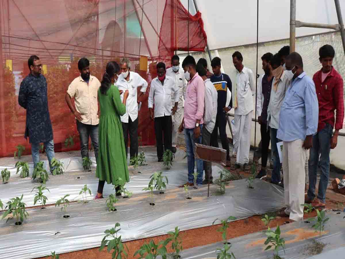 Khammam District | ఆధునిక సాగు విధానంపై రైతులకు ప్రత్యేక శిక్షణ…