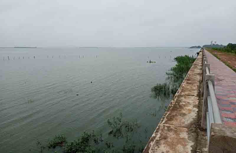 జోరువాన