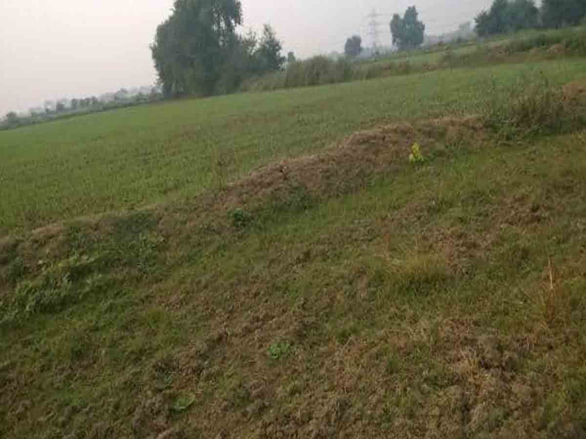 మోసపూరితంగా చేసిన భూమి పట్టాను రద్దు చేయాలని తహాసీల్దార్‌కు ఫిర్యాదు…