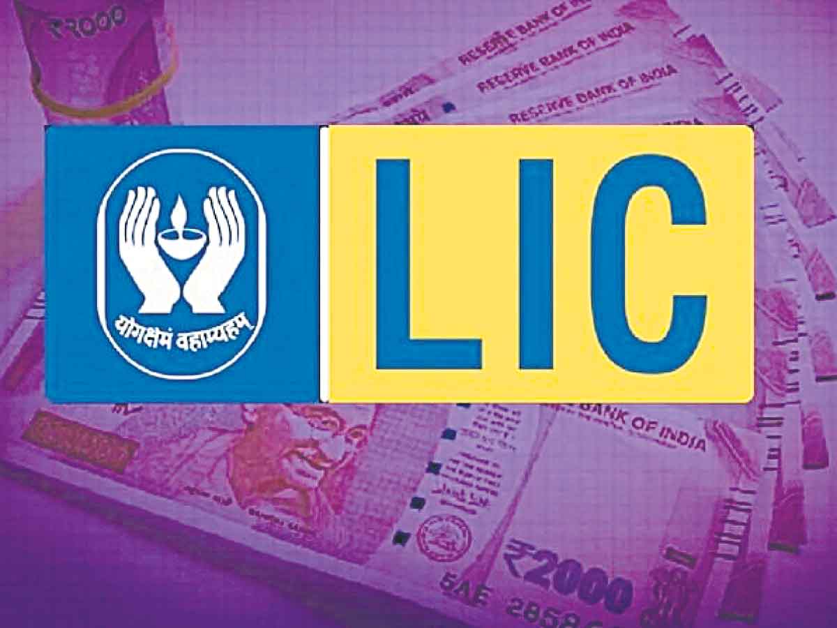 LIC | ఆగిన పాలసీలపై నజర్‌