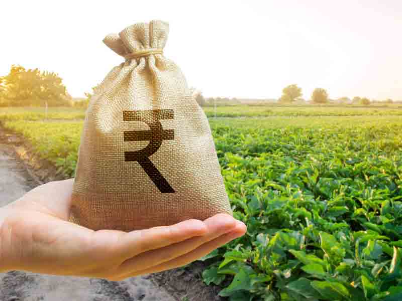 రైతు రుణమాఫీ యోచన లేదు