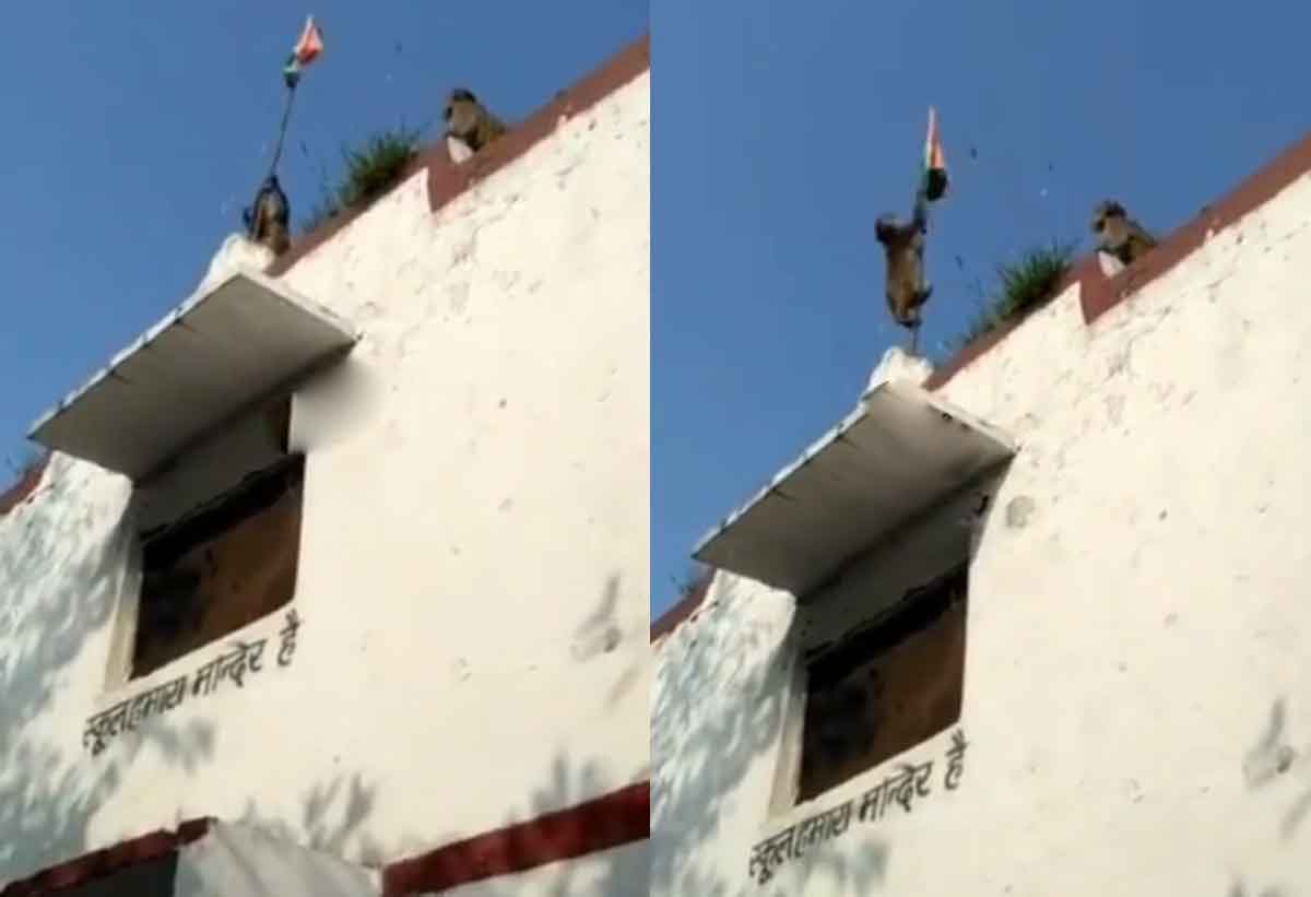 Viral Video : జెండా ఎగుర‌వేసిన కోతి.. ఆశ్చ‌ర్య‌పోయిన స్థానికులు..