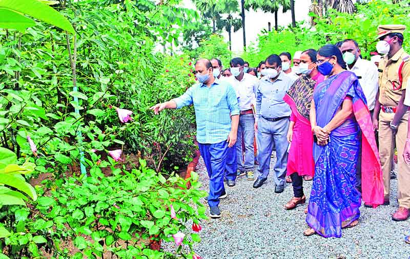 పల్లెప్రగతి కేసీఆర్‌ కలల ప్రాజెక్టు