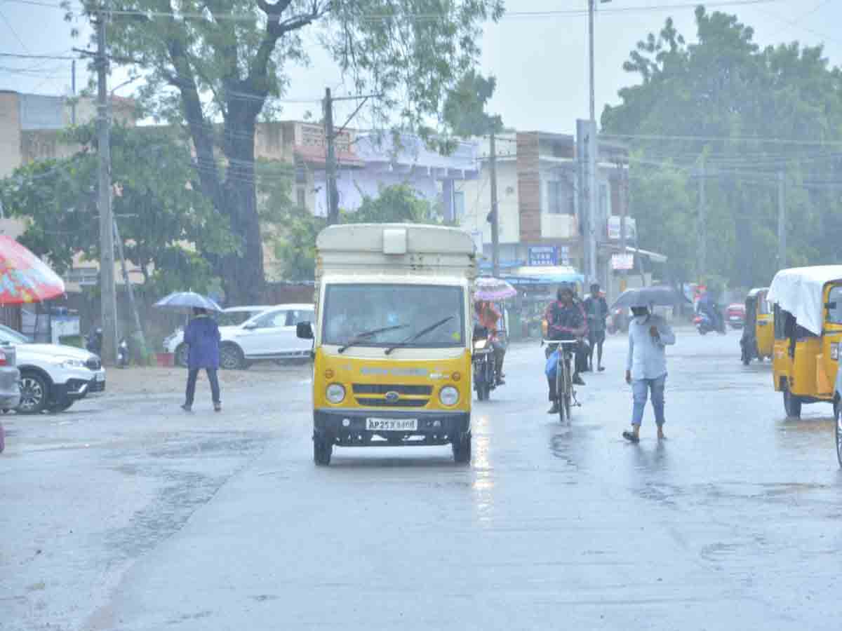 నిజామాబాద్ జిల్లాలో జోరువాన
