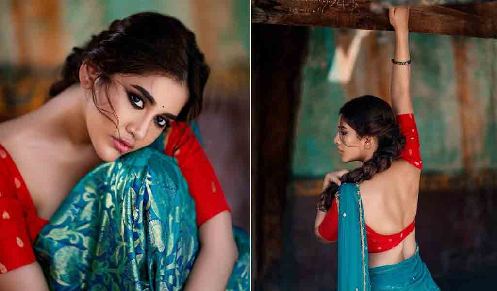 Nabha Natesh | లంగావోణిలో ఇస్మార్ట్ భామ త‌ళుక్కులు