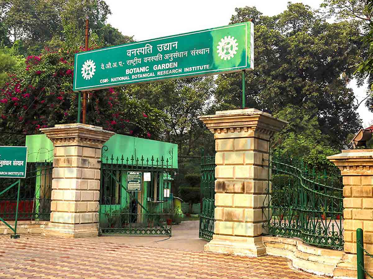 Job News : సీఎస్‌ఐఆర్‌-ఎన్‌బీఆర్‌ఐలో పోస్టుల భ‌ర్తీ